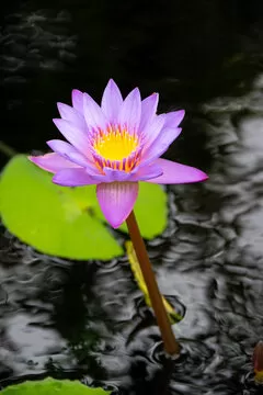准备好迎接您的幸运了吗？